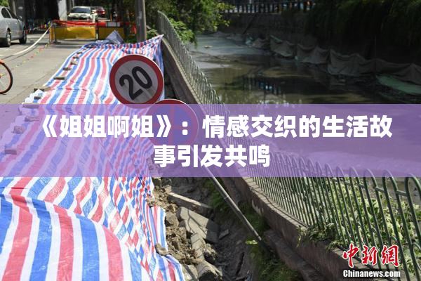 《姐姐啊姐》：情感交织的生活故事引发共鸣