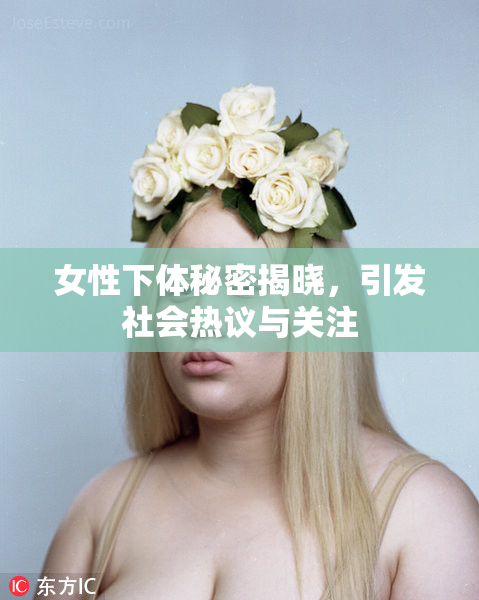 女性下体秘密揭晓，引发社会热议与关注