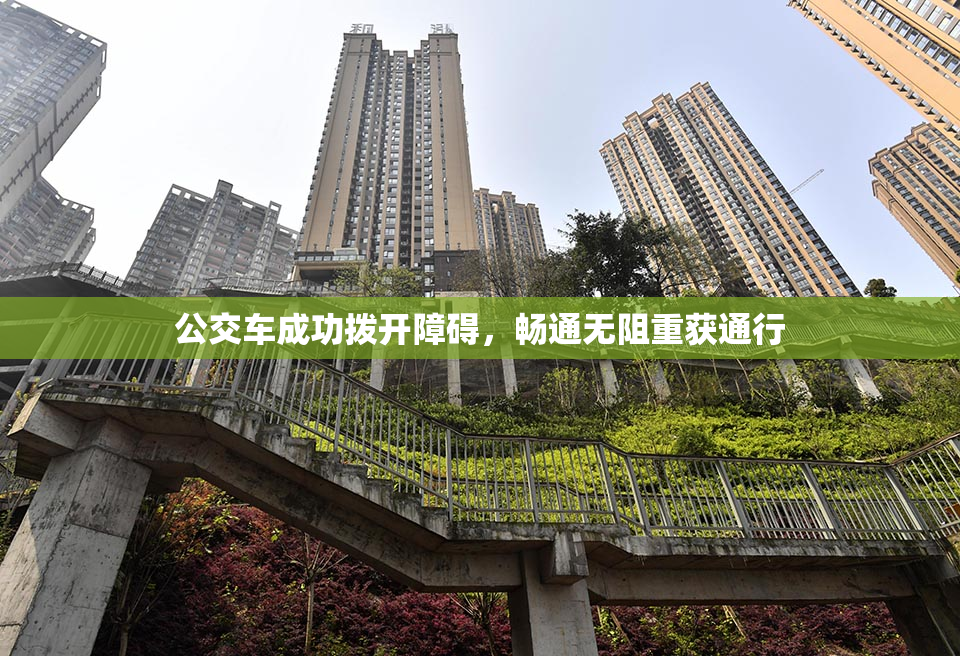 公交车成功拨开障碍，畅通无阻重获通行