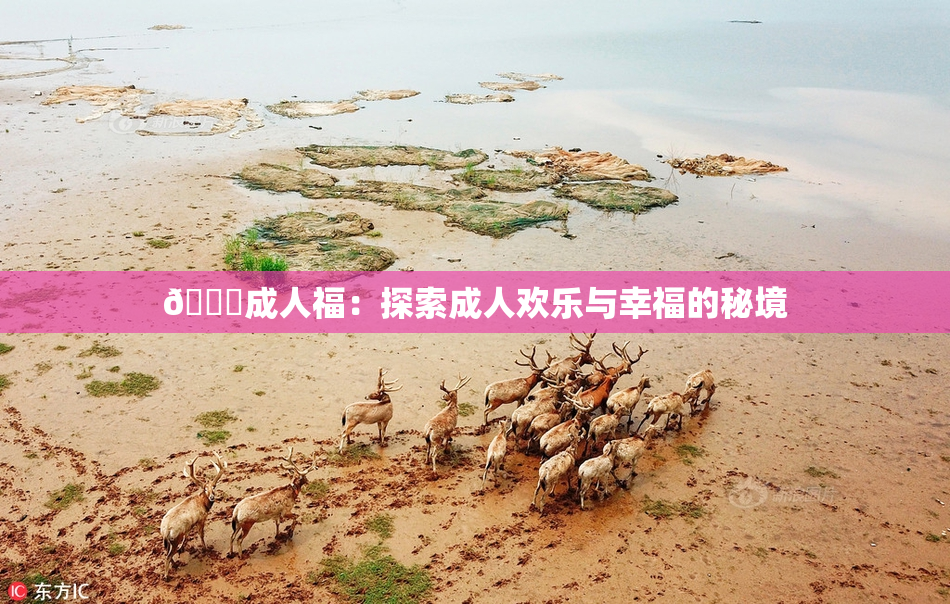 🔞成人福：探索成人欢乐与幸福的秘境