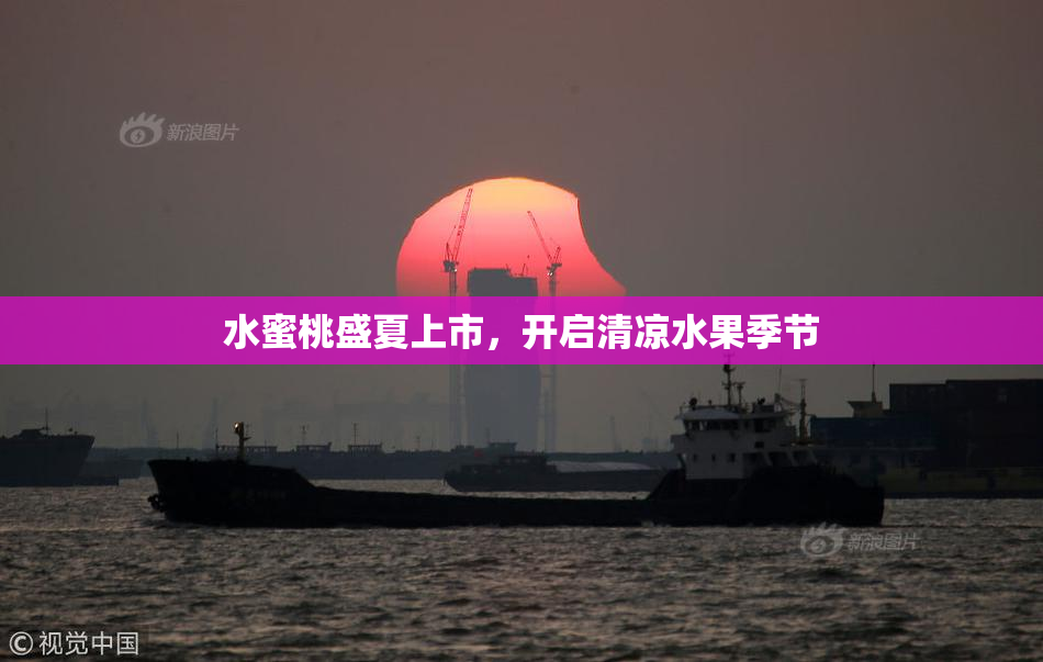 水蜜桃盛夏上市，开启清凉水果季节