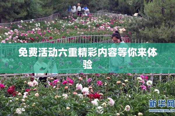 免费活动六重精彩内容等你来体验