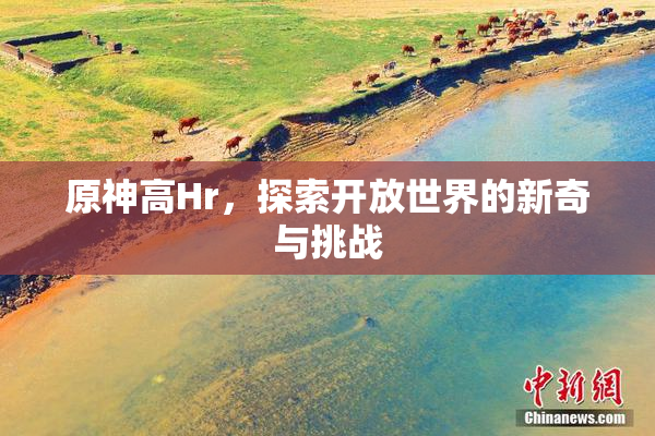 原神高Hr，探索开放世界的新奇与挑战