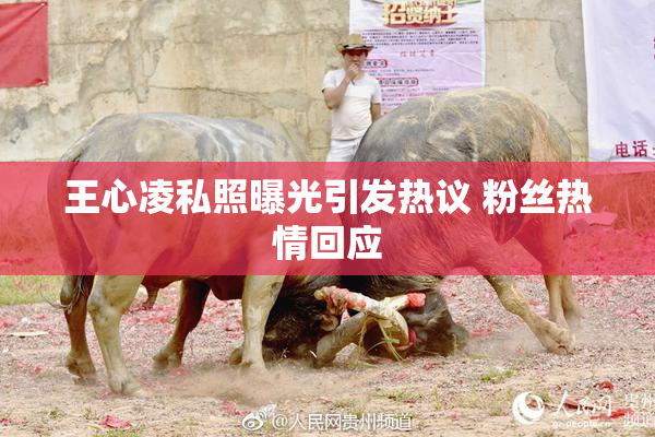 王心凌私照曝光引发热议 粉丝热情回应