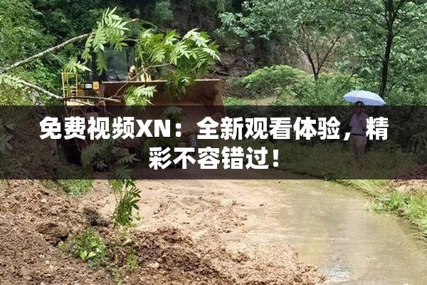 免费视频XN：全新观看体验，精彩不容错过！