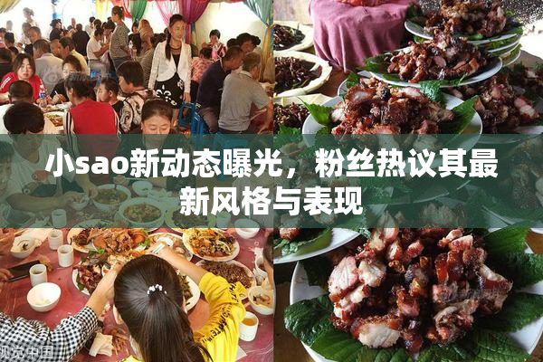 小sao新动态曝光，粉丝热议其最新风格与表现