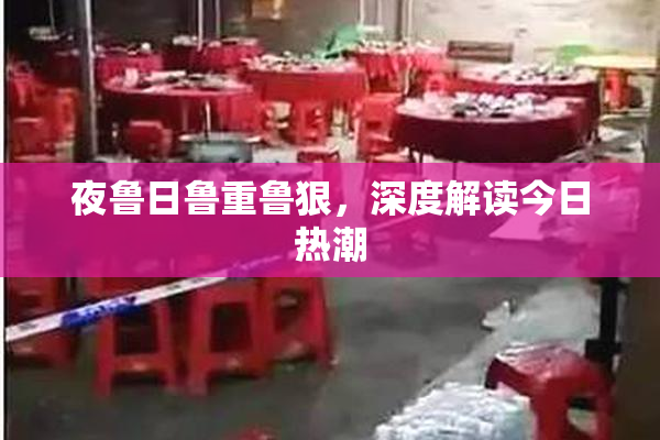 夜鲁日鲁重鲁狠，深度解读今日热潮