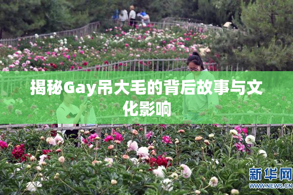 揭秘Gay吊大毛的背后故事与文化影响