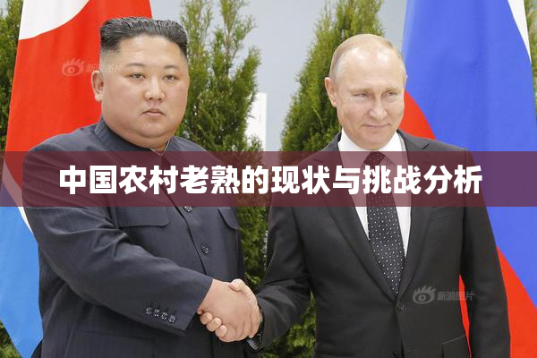 中国农村老熟的现状与挑战分析