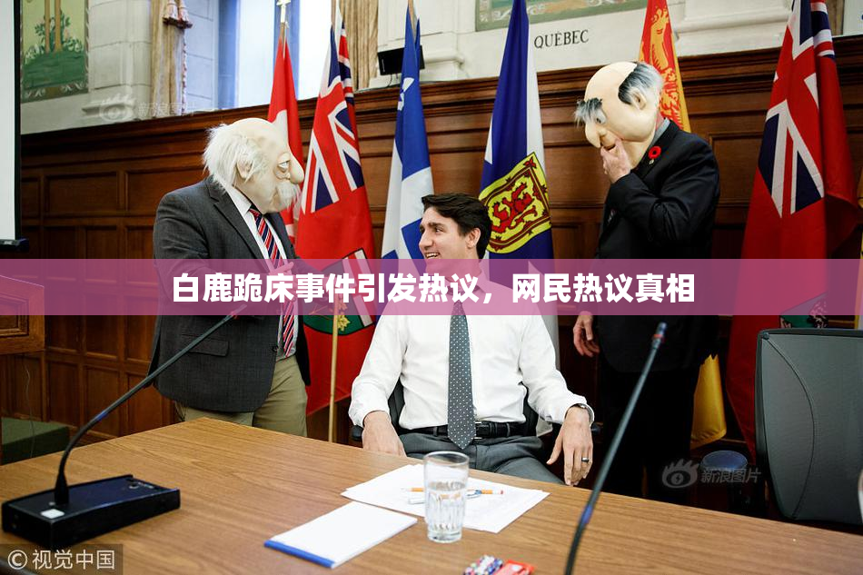 白鹿跪床事件引发热议，网民热议真相