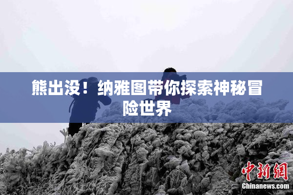 熊出没！纳雅图带你探索神秘冒险世界