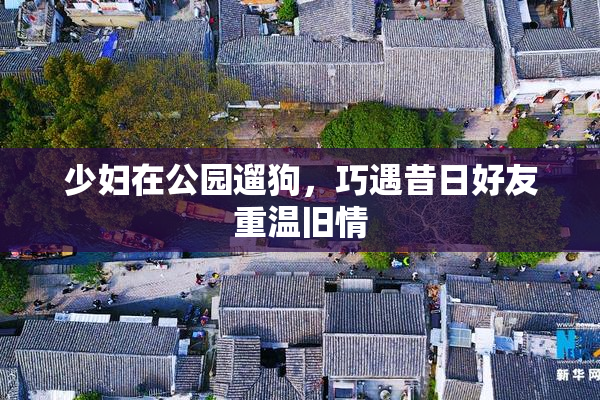 少妇在公园遛狗，巧遇昔日好友重温旧情