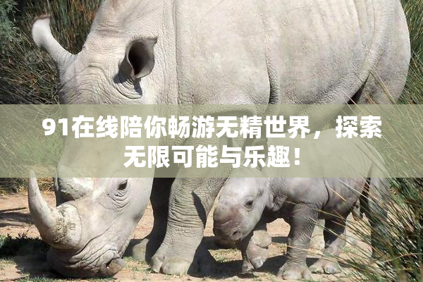 91在线陪你畅游无精世界，探索无限可能与乐趣！