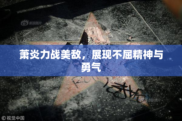 萧炎力战美敌，展现不屈精神与勇气