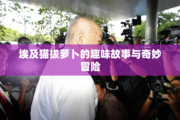 埃及猫拔萝卜的趣味故事与奇妙冒险