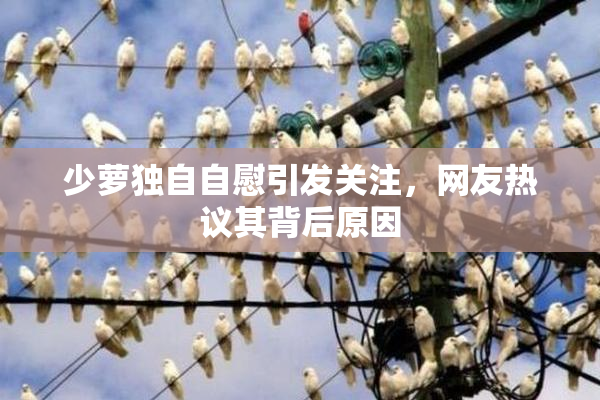 少萝独自自慰引发关注，网友热议其背后原因