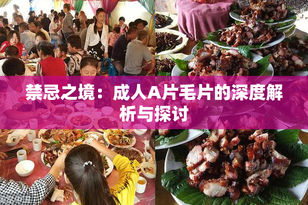 禁忌之境：成人A片毛片的深度解析与探讨