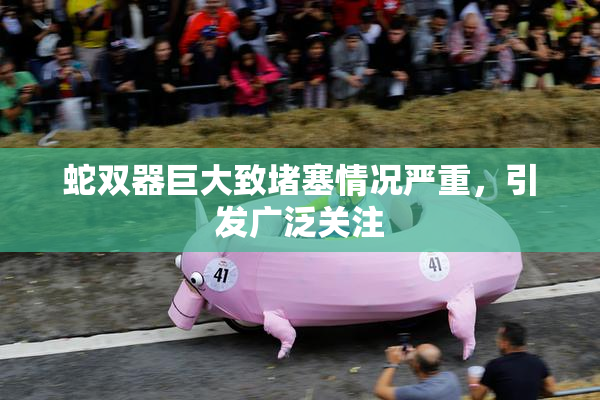 蛇双器巨大致堵塞情况严重，引发广泛关注