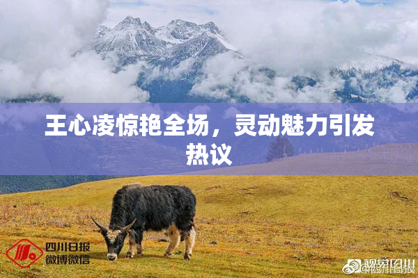 王心凌惊艳全场，灵动魅力引发热议