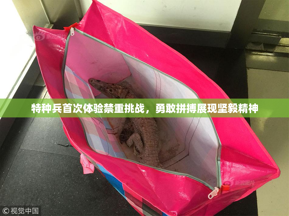 特种兵首次体验禁重挑战，勇敢拼搏展现坚毅精神