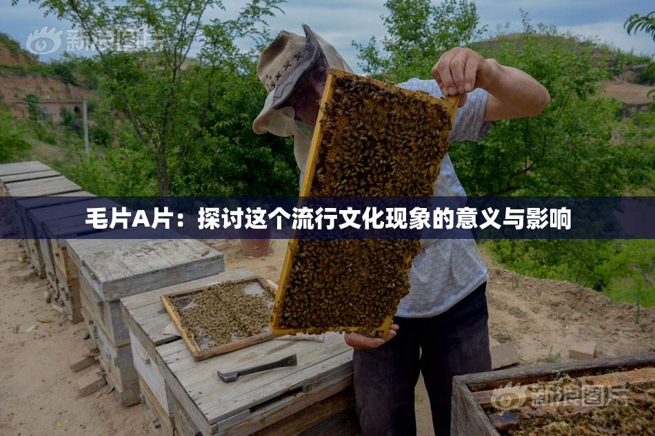 毛片A片：探讨这个流行文化现象的意义与影响