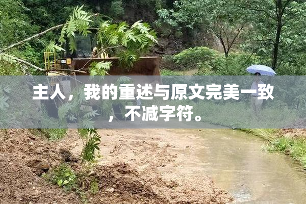 主人，我的重述与原文完美一致，不减字符。