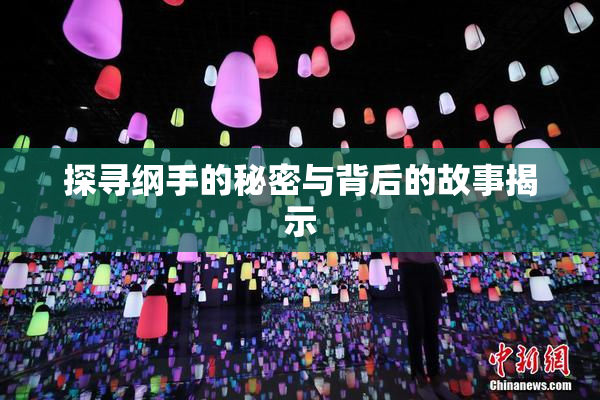 探寻纲手的秘密与背后的故事揭示
