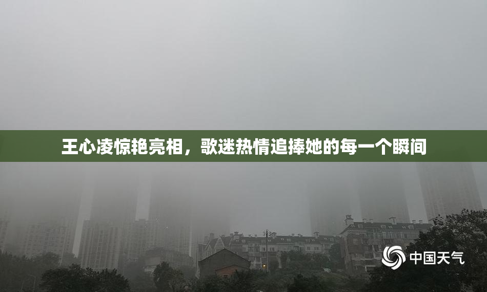 王心凌惊艳亮相，歌迷热情追捧她的每一个瞬间