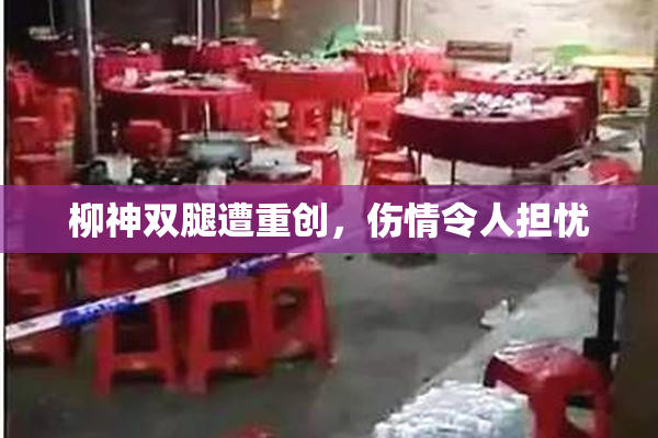 柳神双腿遭重创，伤情令人担忧