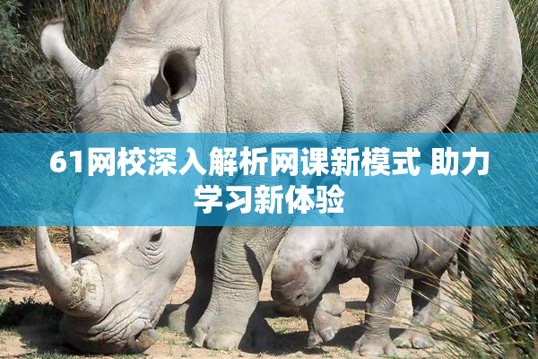 61网校深入解析网课新模式 助力学习新体验