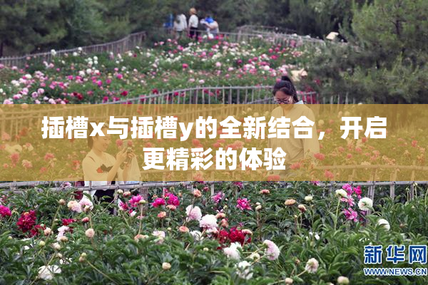 插槽x与插槽y的全新结合，开启更精彩的体验