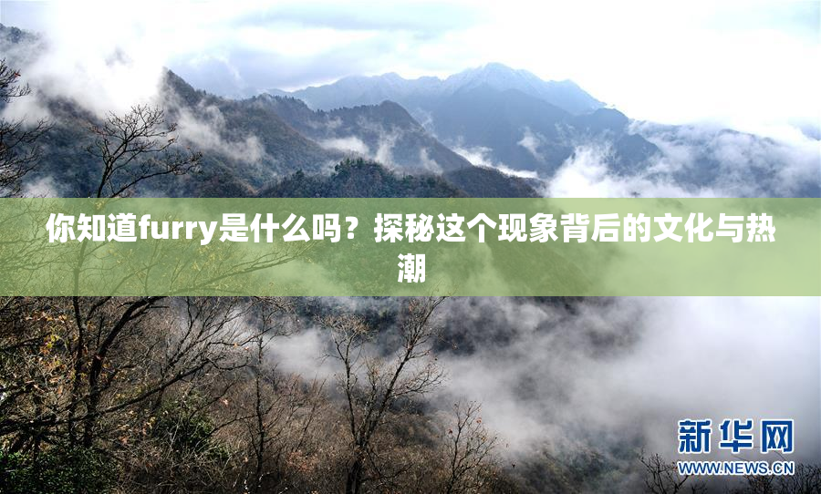 你知道furry是什么吗？探秘这个现象背后的文化与热潮