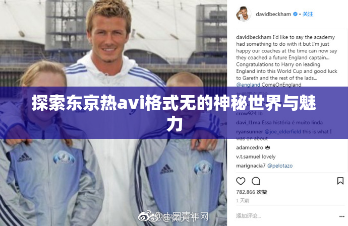 探索东京热avi格式无的神秘世界与魅力