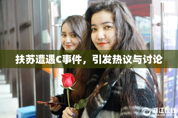 扶苏遭遇C事件，引发热议与讨论