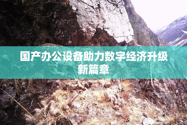 国产办公设备助力数字经济升级新篇章