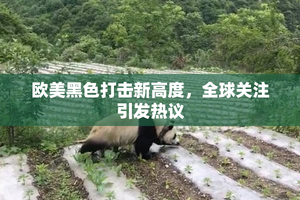 欧美黑色打击新高度，全球关注引发热议