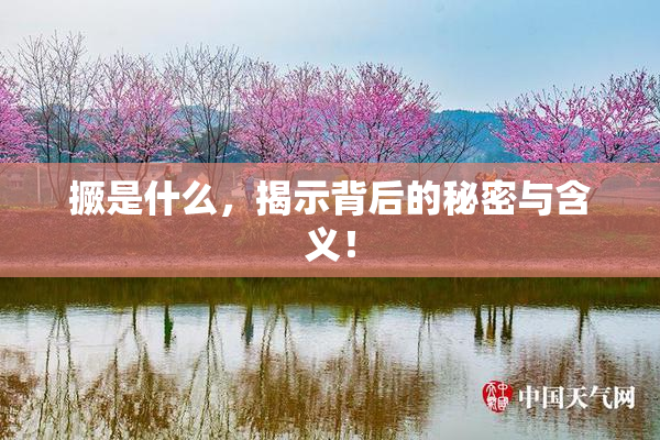 撅是什么，揭示背后的秘密与含义！