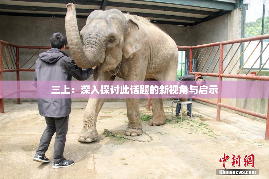 三上：深入探讨此话题的新视角与启示