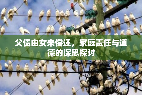 父债由女来偿还，家庭责任与道德的深思探讨