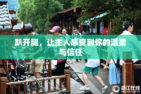 趴开腿，让主人感受到你的温柔与信任