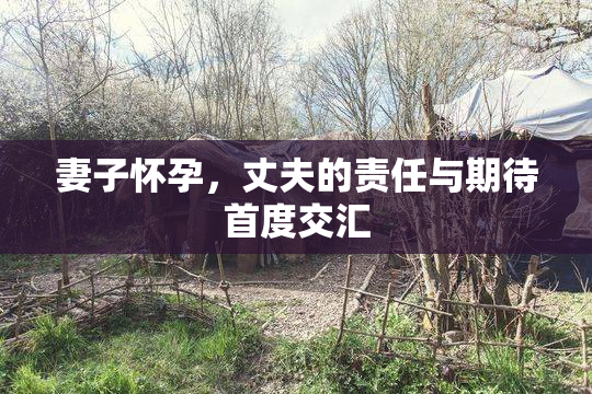 妻子怀孕，丈夫的责任与期待首度交汇
