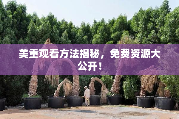 美重观看方法揭秘，免费资源大公开！