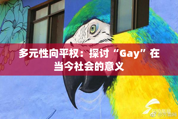 多元性向平权：探讨“Gay”在当今社会的意义