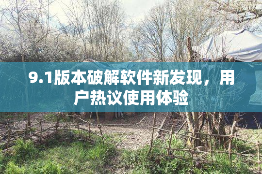 9.1版本破解软件新发现，用户热议使用体验