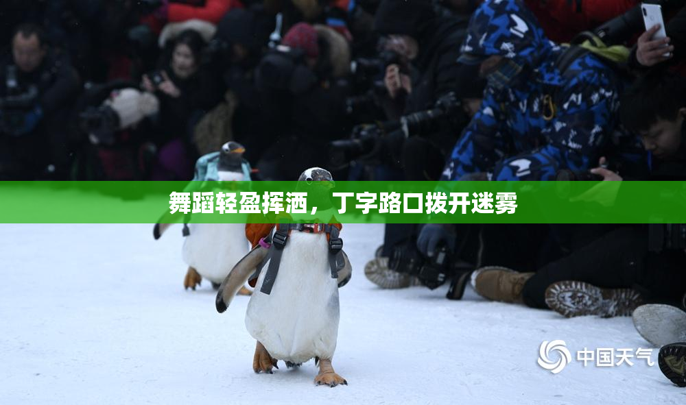 舞蹈轻盈挥洒，丁字路口拨开迷雾