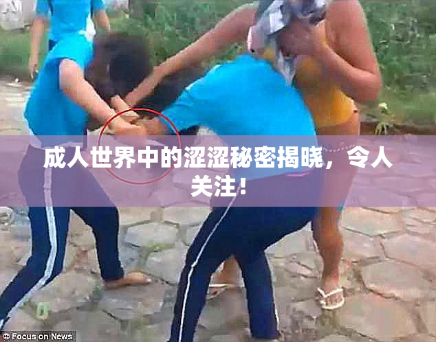 成人世界中的涩涩秘密揭晓，令人关注！
