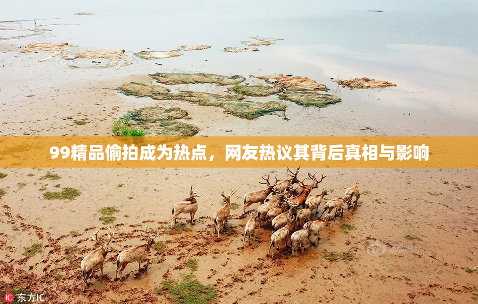99精品偷拍成为热点，网友热议其背后真相与影响