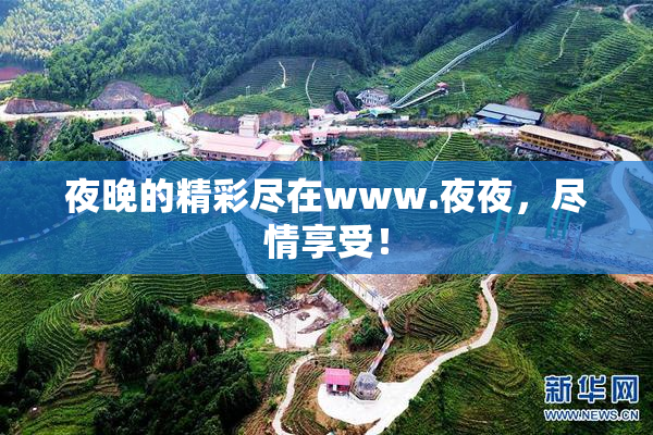 夜晚的精彩尽在www.夜夜，尽情享受！