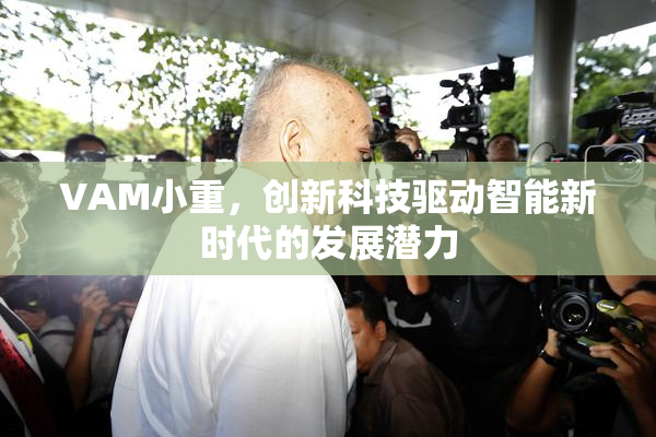 VAM小重，创新科技驱动智能新时代的发展潜力