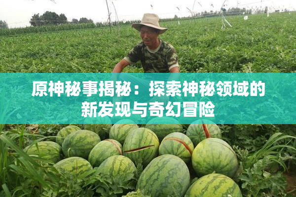 原神秘事揭秘：探索神秘领域的新发现与奇幻冒险